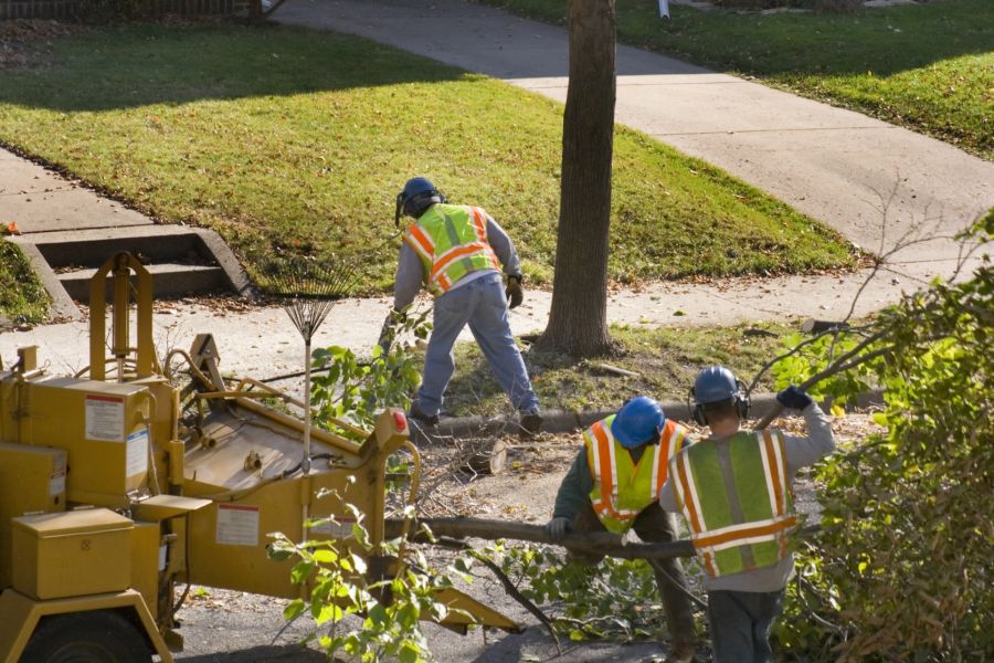 Tree service workers clearing branches near a sidewalk with a wood chipper in a residential neighborhood